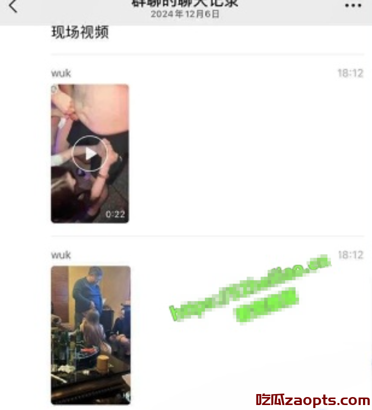 张玉良与女秘书KTV丑闻曝光，绿地集团陷舆论风暴！